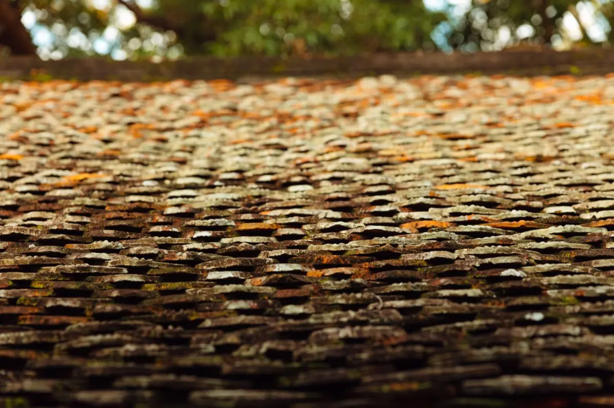 Roof Coatings & Sealing in Cleveland, TN